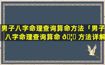 男子八字命理查询算命方法「男子八字命理查询算命 🦈 方法详解」